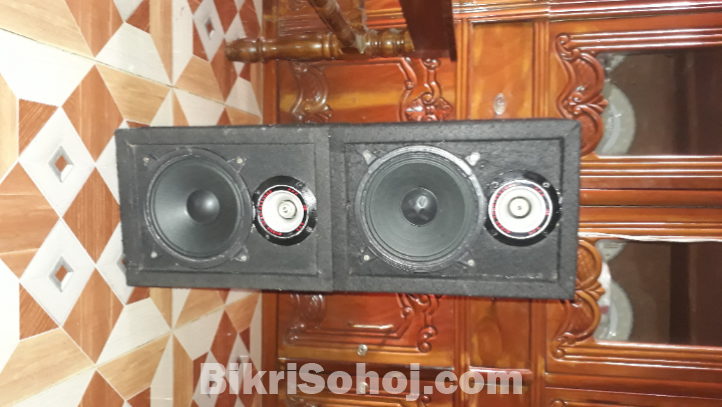 6 inch 100 watt ×2 speaker sound system.Amplifier included.